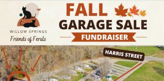 Three Days of Sales Fund Willow Springs Feline Focused Animal Care Agency
