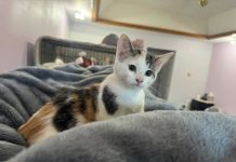 Featured Pet of The Day-Mary Jane