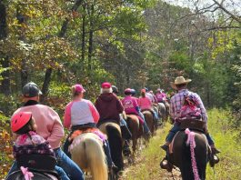 Fox Trotters riding for a cause in pink