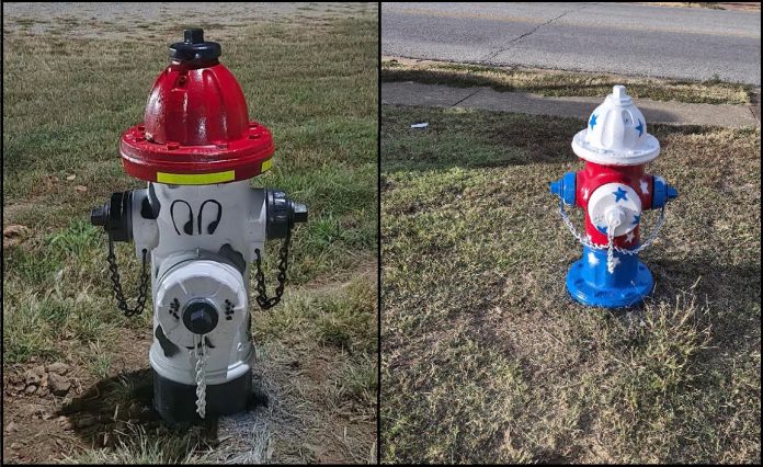 Hydrants Mtn Grove