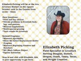 MU Extension specialist to visit Ava Growers Market