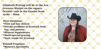 MU Extension specialist to visit Ava Growers Market