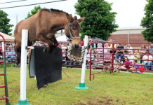 West Plains Gearing Up for Heritage Festival this Weekend