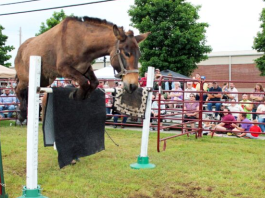 West Plains Gearing Up for Heritage Festival this Weekend