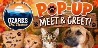 Pop Up Pet Adoption Event in West Plains Today